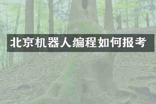 北京机器人编程如何报考