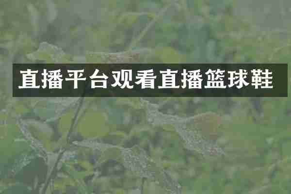 直播平台观看直播篮球鞋