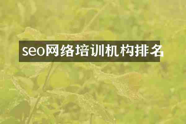 seo网络培训机构排名