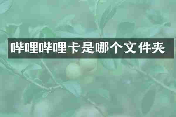 哔哩哔哩卡是哪个文件夹