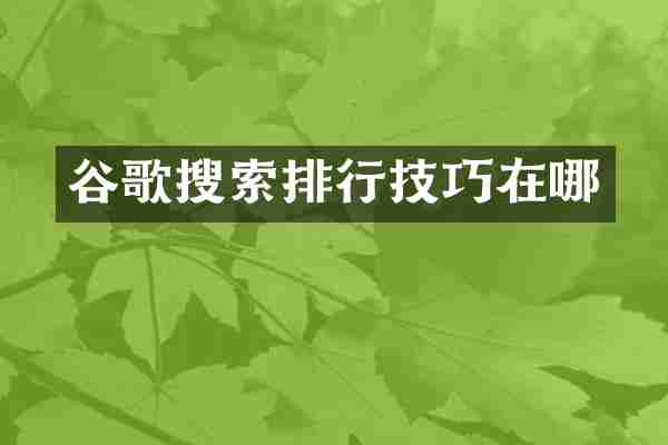 谷歌搜索排行技巧在哪
