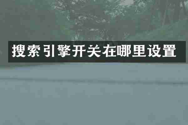 搜索引擎开关在哪里设置
