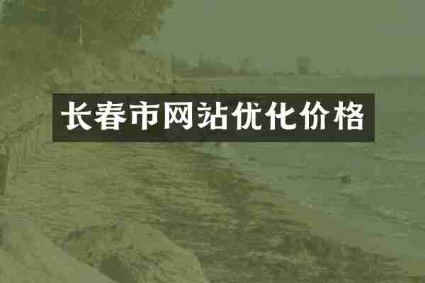 长春市网站优化价格