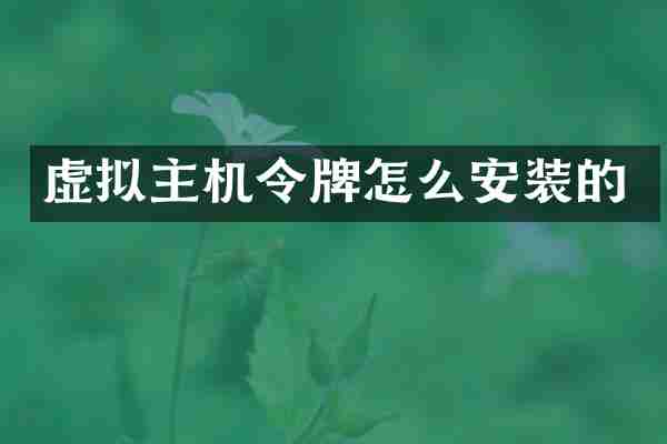 虚拟主机令牌怎么安装的
