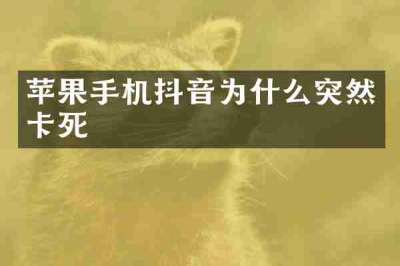 苹果手机抖音为什么突然卡死