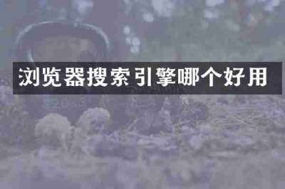 浏览器搜索引擎哪个好用