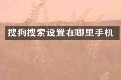 搜狗搜索设置在哪里手机
