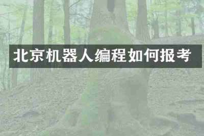 北京机器人编程如何报考