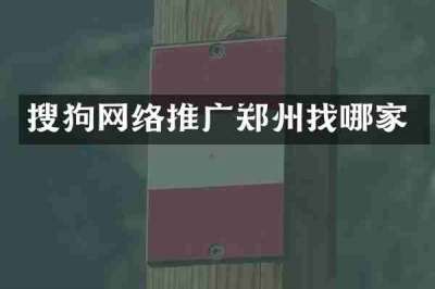 搜狗网络推广郑州找哪家