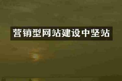 营销型网站建设中坚站