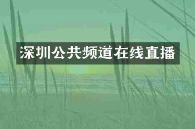深圳公共频道在线直播