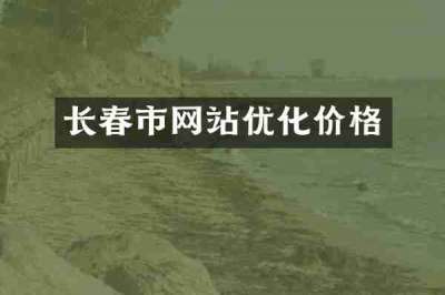 长春市网站优化价格
