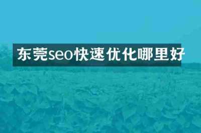 东莞seo快速优化哪里好