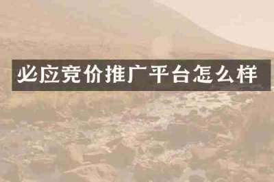 必应竞价推广平台怎么样