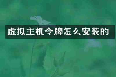 虚拟主机令牌怎么安装的
