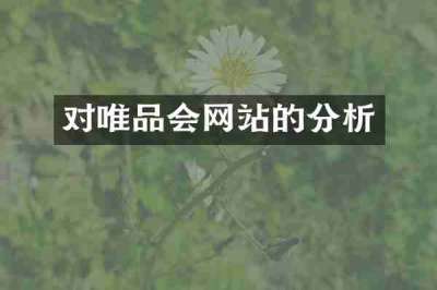 对唯品会网站的分析