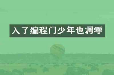 入了编程门少年也凋零