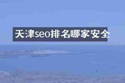 天津seo排名哪家安全
