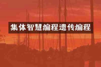 集体智慧编程遗传编程