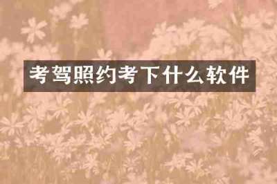 考驾照约考下什么软件