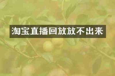 淘宝直播回放放不出来