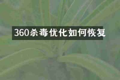 360杀毒优化如何恢复