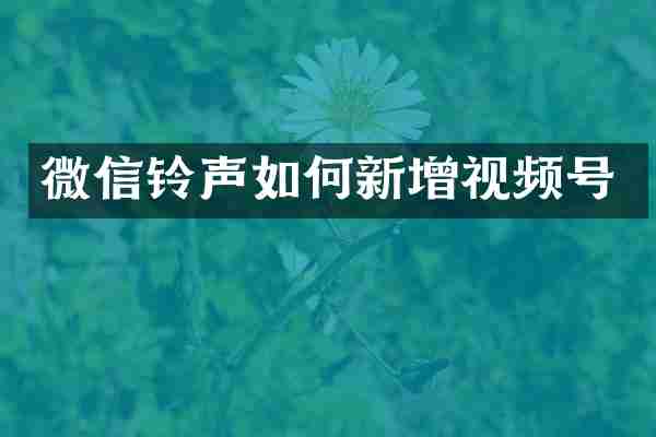 微信铃声如何新增视频号