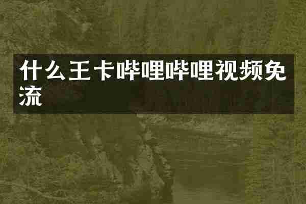 什么王卡哔哩哔哩视频免流