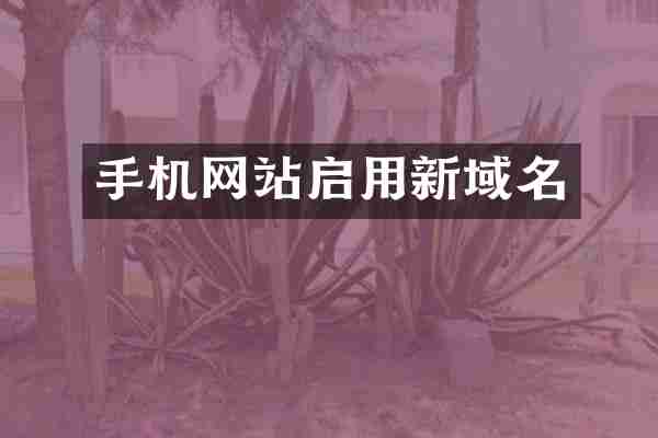 手机网站启用新域名