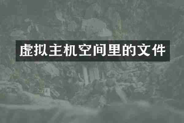 虚拟主机空间里的文件