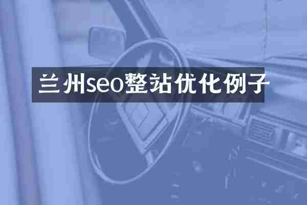 兰州seo整站优化例子