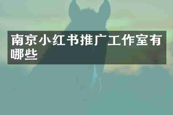 南京小红书推广工作室有哪些
