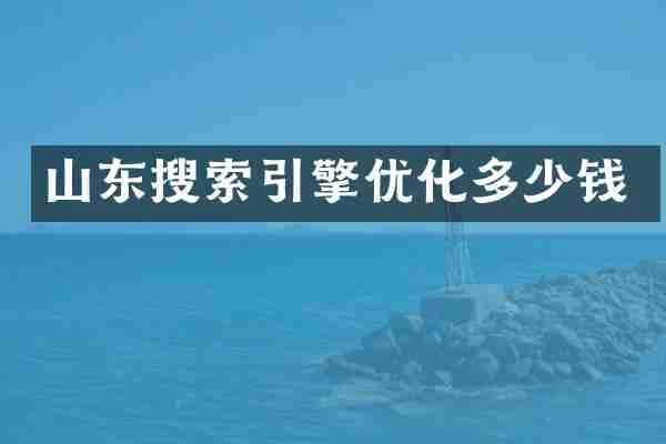 山东搜索引擎优化多少钱