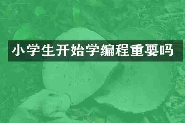 小学生开始学编程重要吗