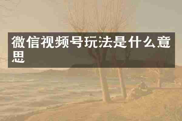 微信视频号玩法是什么意思