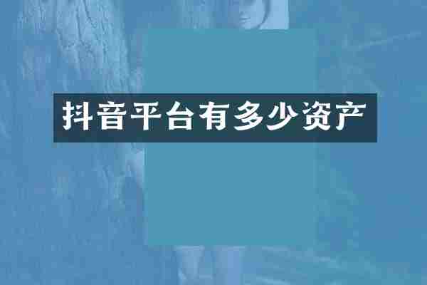抖音平台有多少资产