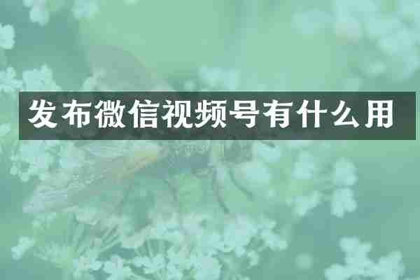 发布微信视频号有什么用