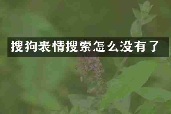 搜狗表情搜索怎么没有了