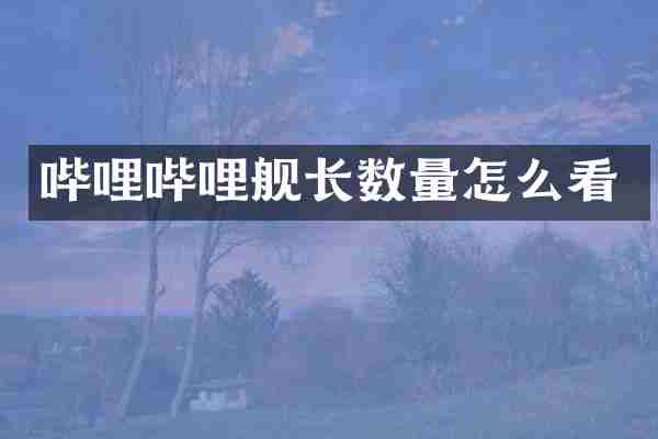 哔哩哔哩舰长数量怎么看