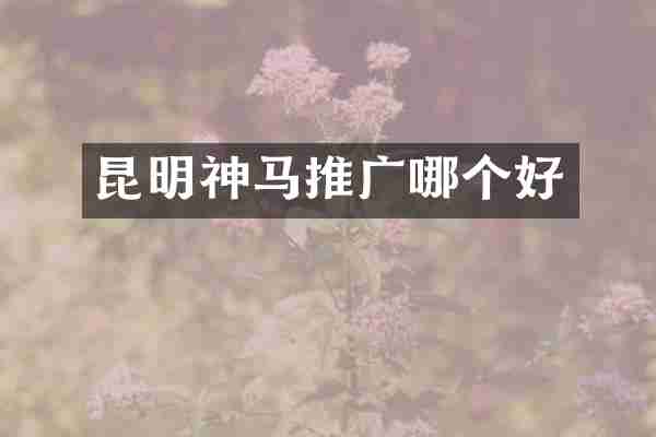 昆明神马推广哪个好