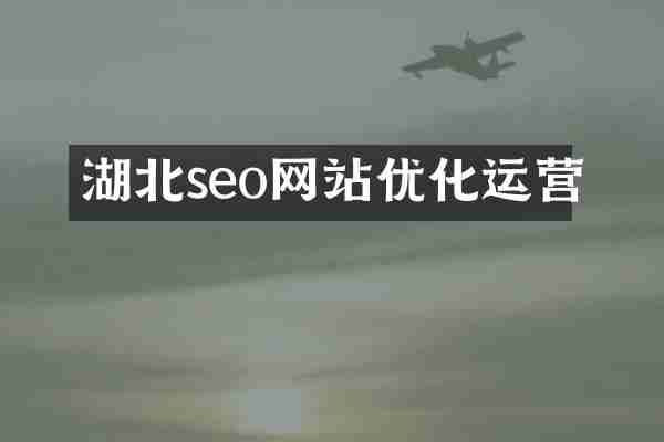 湖北seo网站优化运营