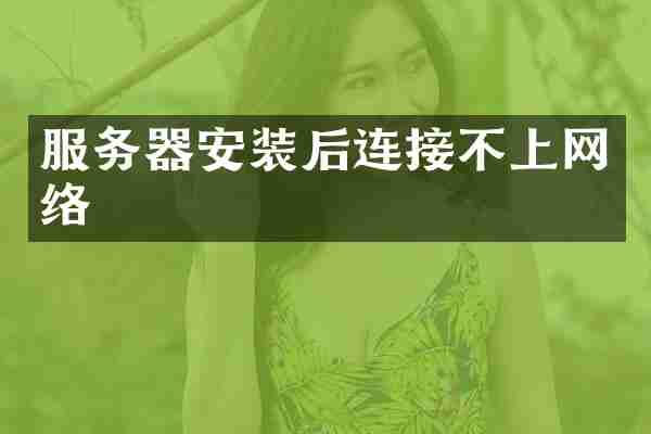 服务器安装后连接不上网络