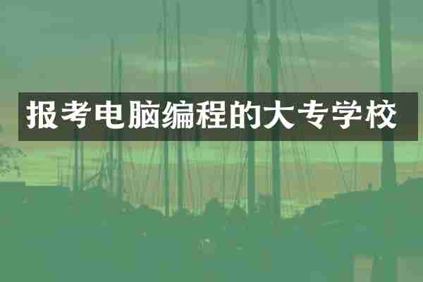 报考电脑编程的大专学校