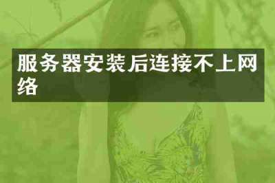 服务器安装后连接不上网络