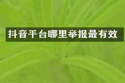 抖音平台哪里举报最有效