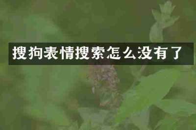 搜狗表情搜索怎么没有了