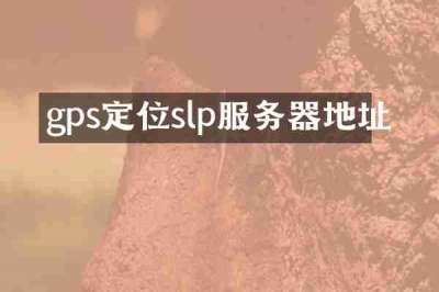 gps定位slp服务器地址