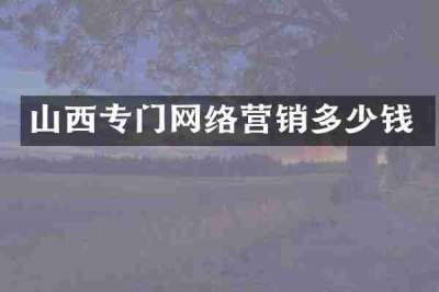 山西专门网络营销多少钱