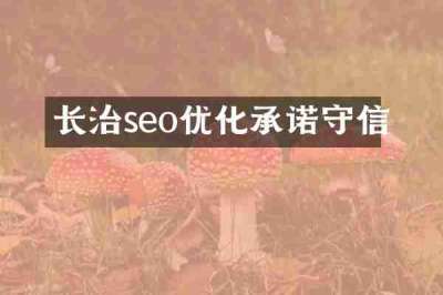 长治seo优化承诺守信