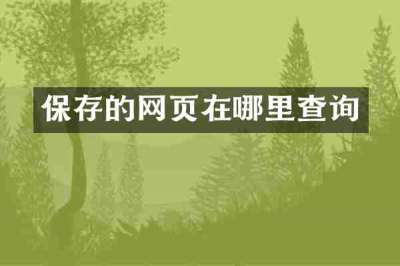 保存的网页在哪里查询